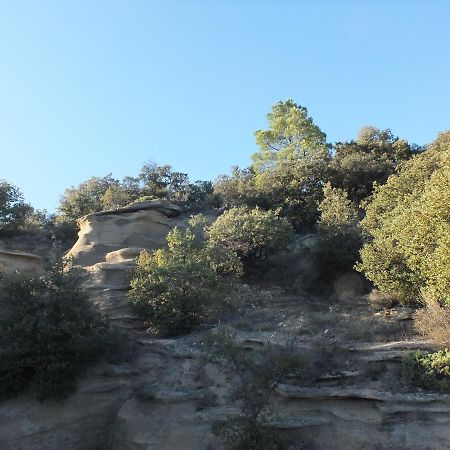 Une Ronce Sous Le Figuier Rousset-les-Vignes Ngoại thất bức ảnh