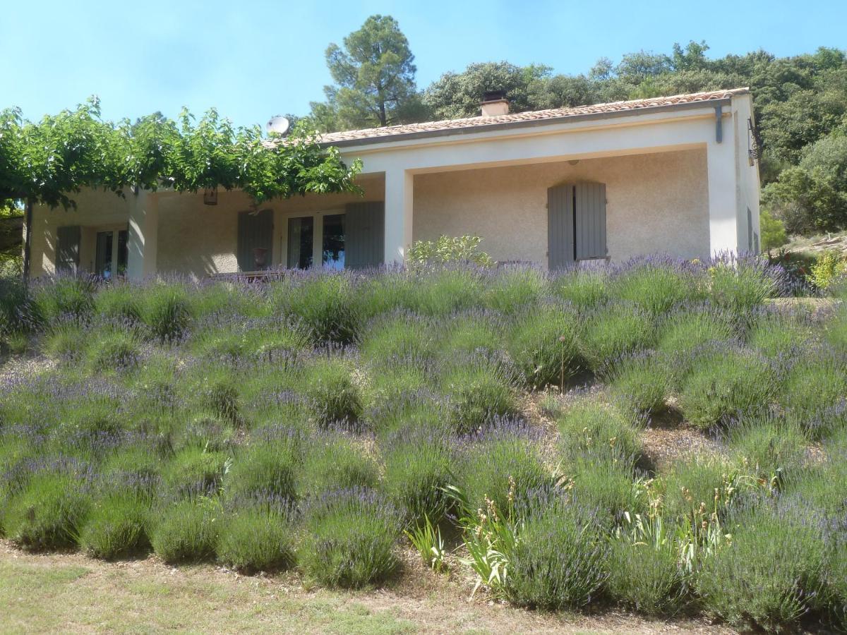 Une Ronce Sous Le Figuier Rousset-les-Vignes Ngoại thất bức ảnh