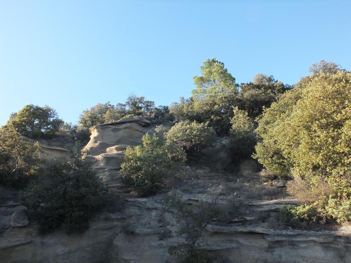 Une Ronce Sous Le Figuier Rousset-les-Vignes Ngoại thất bức ảnh